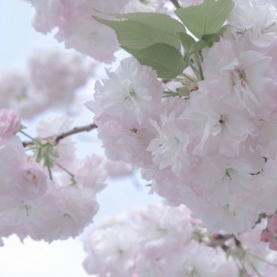 兽设设计灵感合集兽圈群